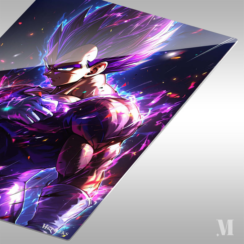 Vegeta Dragon Ball C080725