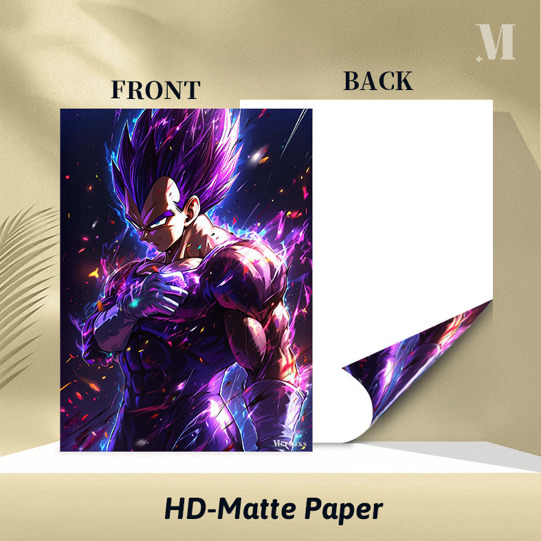 Vegeta Dragon Ball C080725