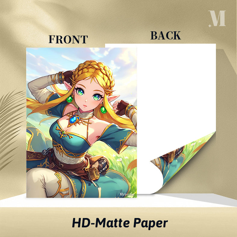 Zelda - Hyrule