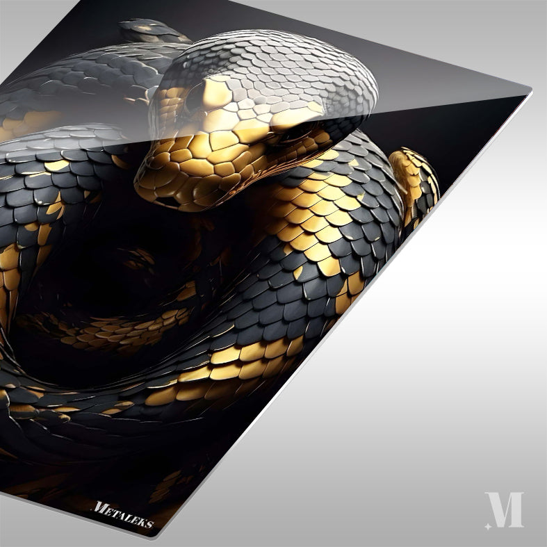 gold black python