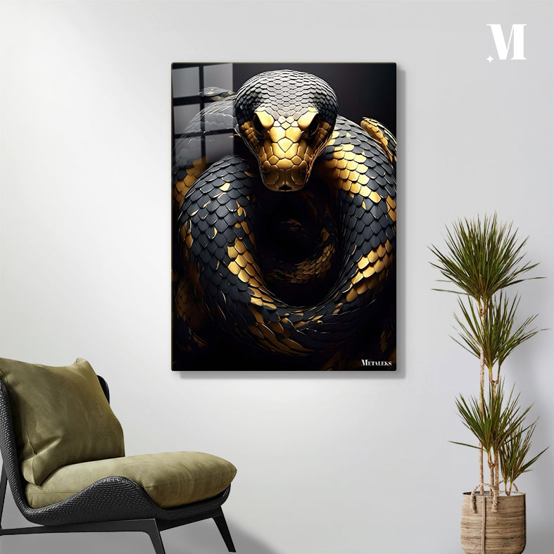 gold black python