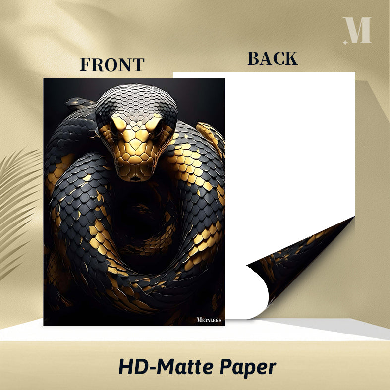 gold black python