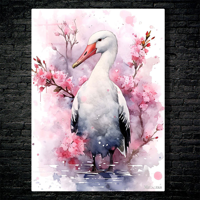 Albatross