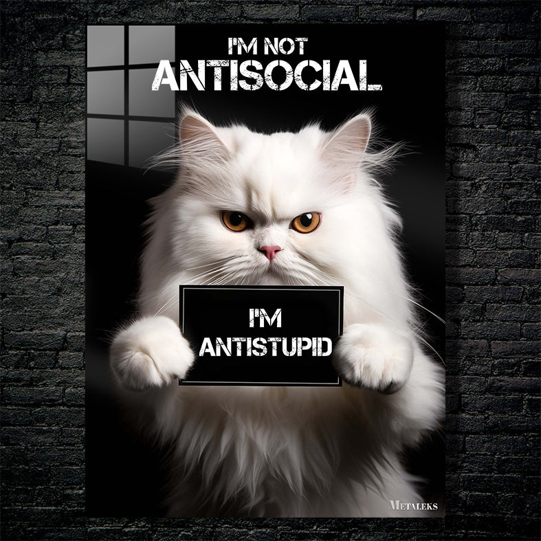 Antisocial Cute Cat