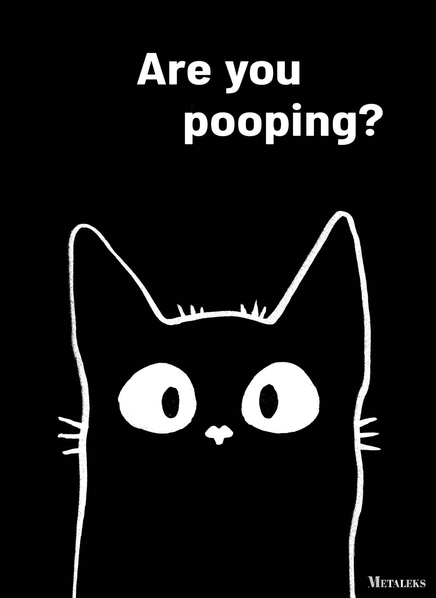 Black cat are you pooping_