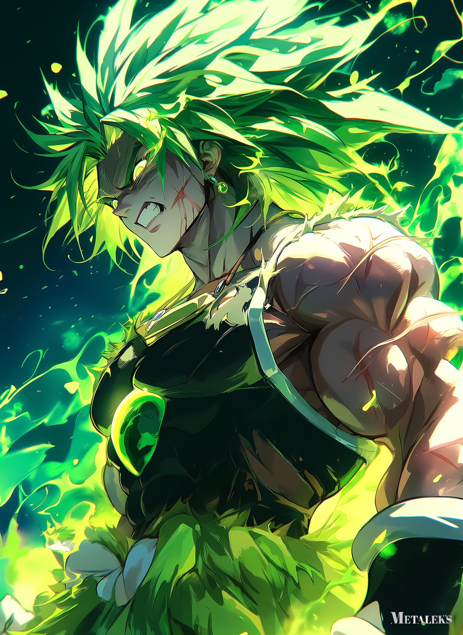 Broly Anime Dragon Ball
