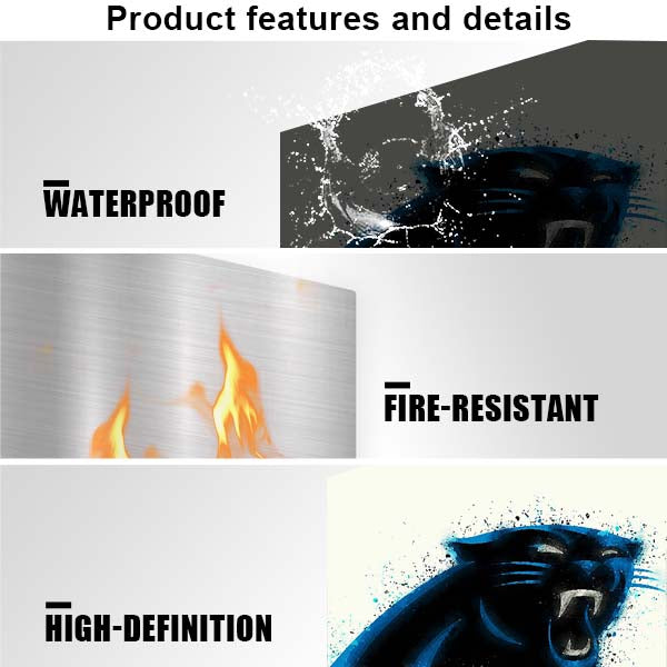 Carolina Panthers Watercolor