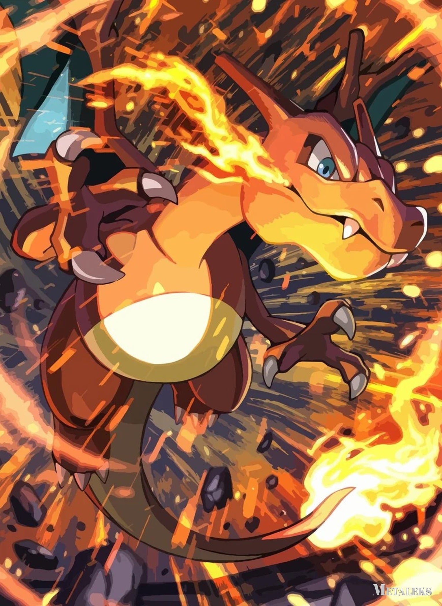 Charizard Pokemon  A0730-25