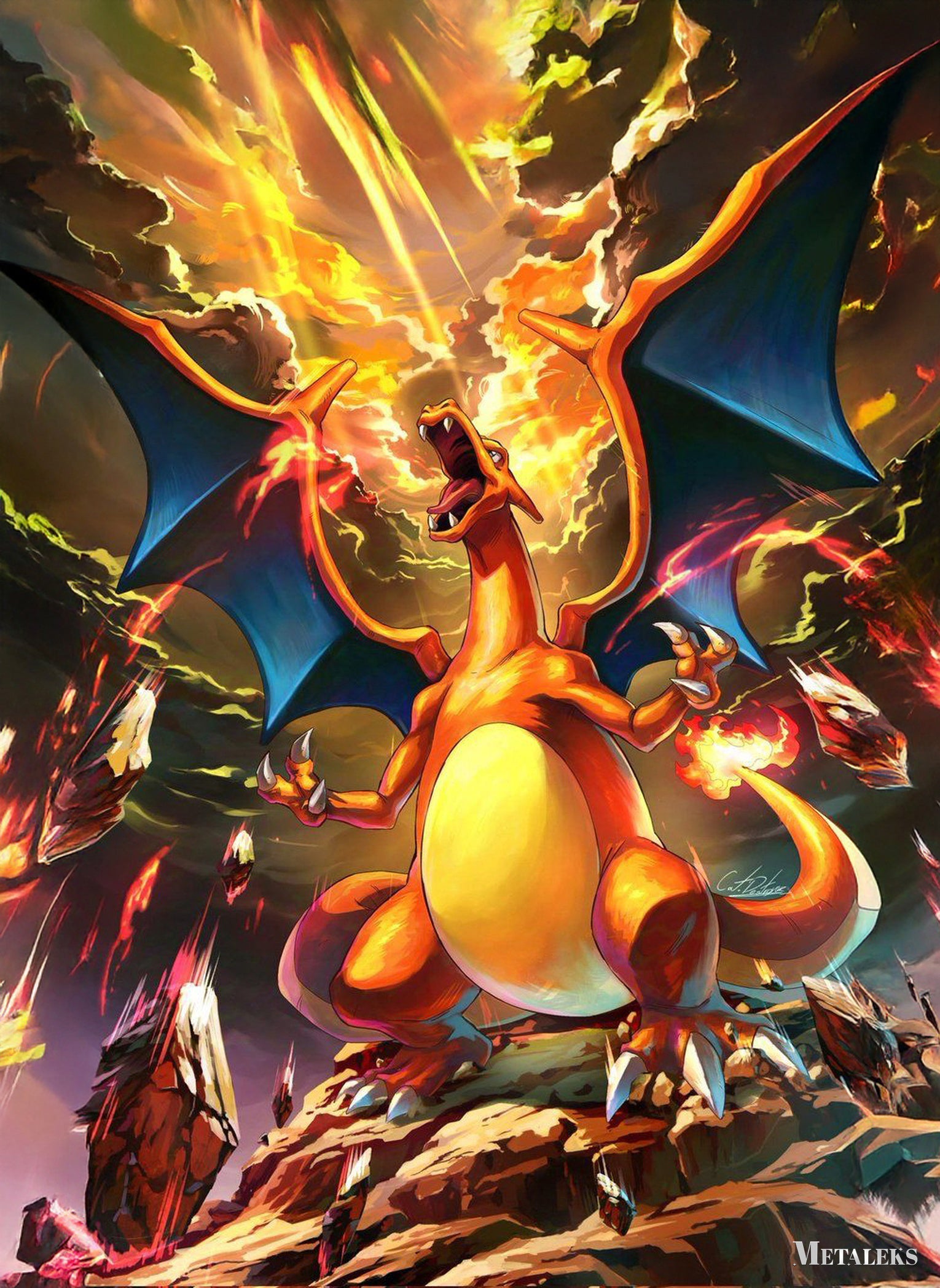 Charizard Pokemon  D0801-25