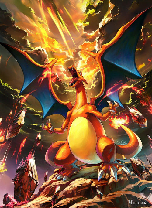 Charizard Pokemon  D0801-25