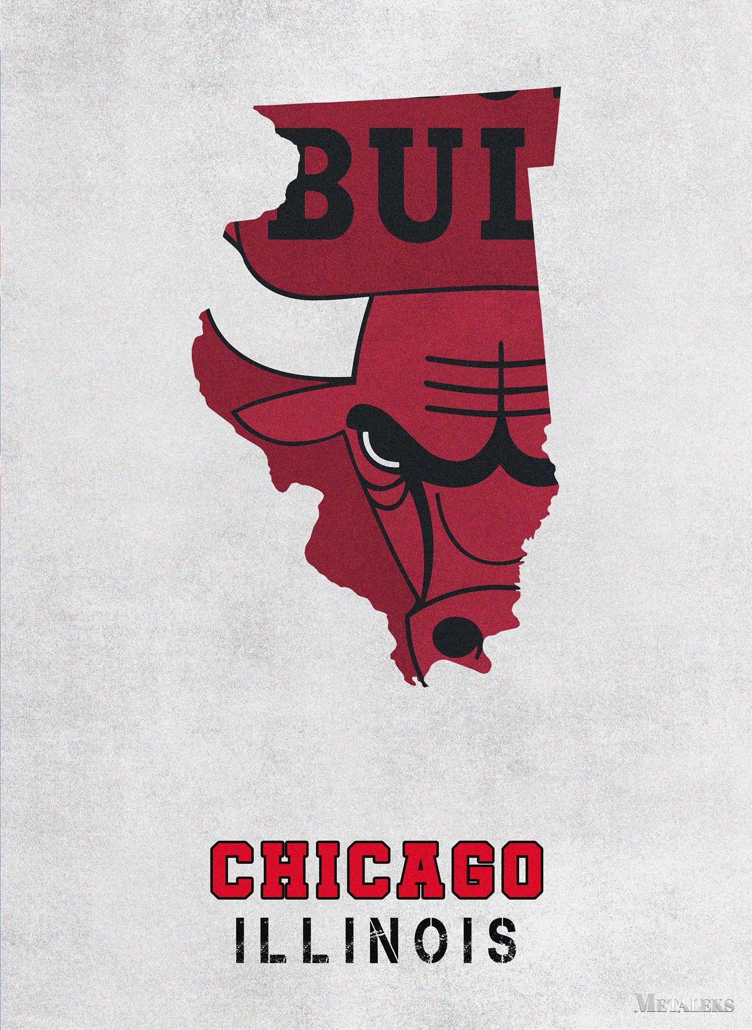 Chicago Bulls Chicago Illinois State Map