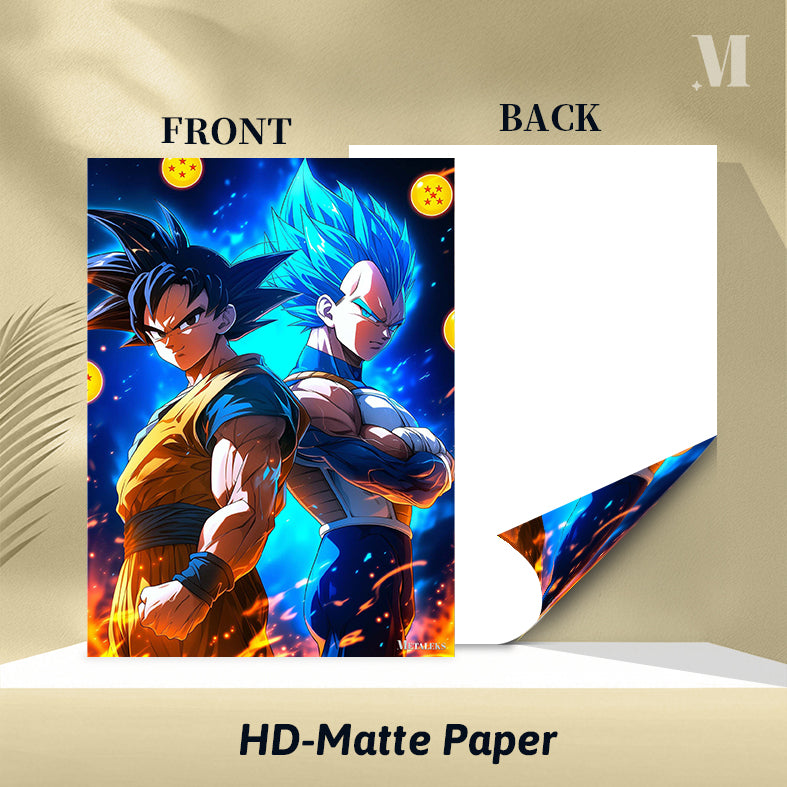 D - 257 GOKU AND VEGETA   H0731-25