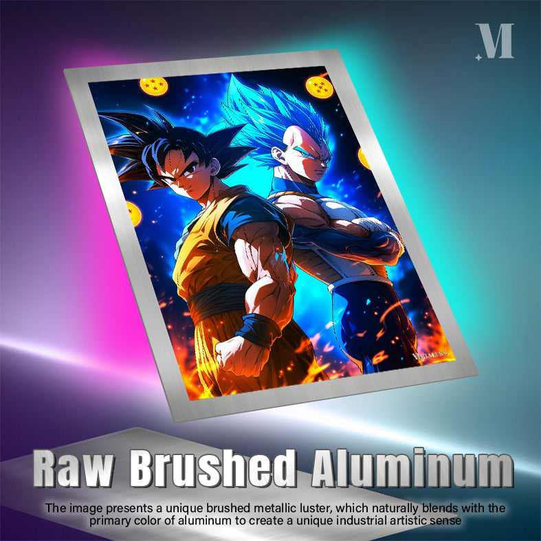 D - 257 GOKU AND VEGETA   H0731-25