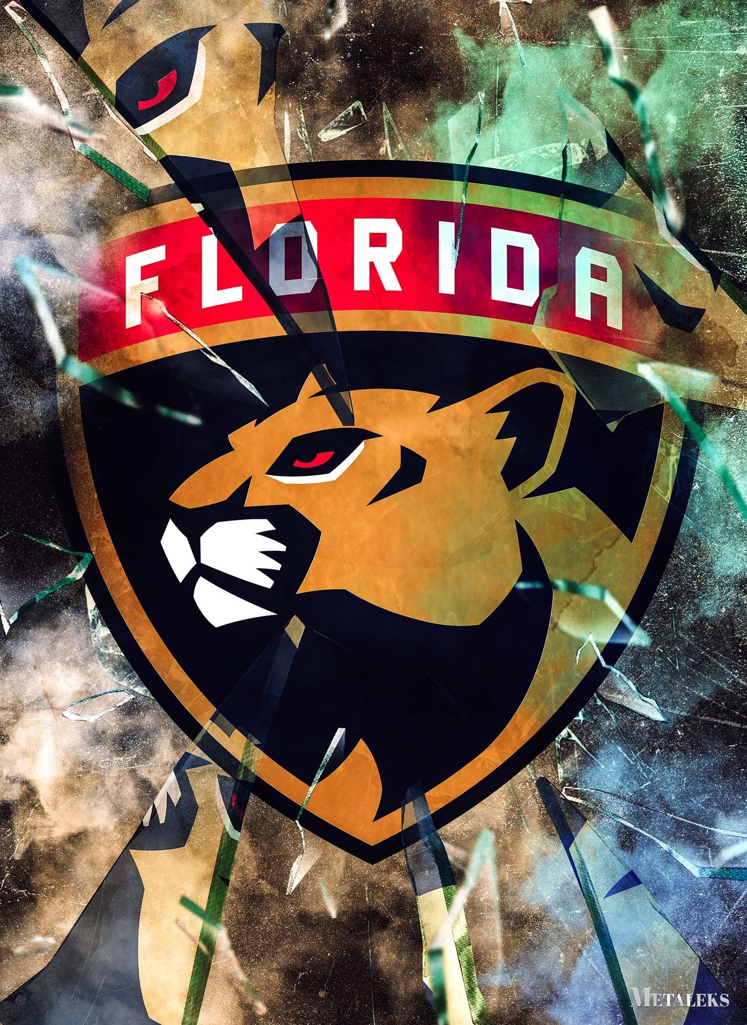 Florida Panthers