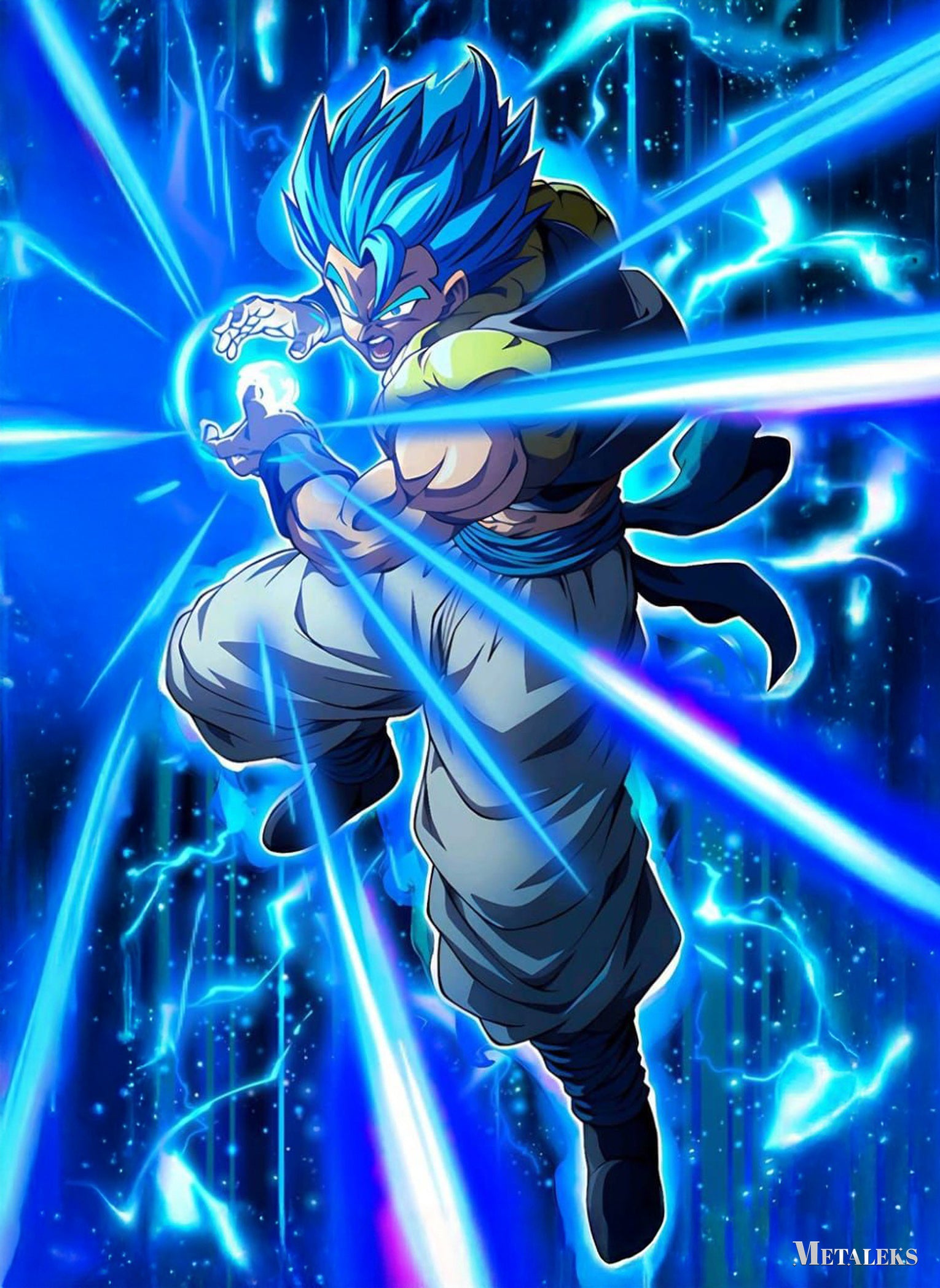 Gogeta Dragon Ball  D090625
