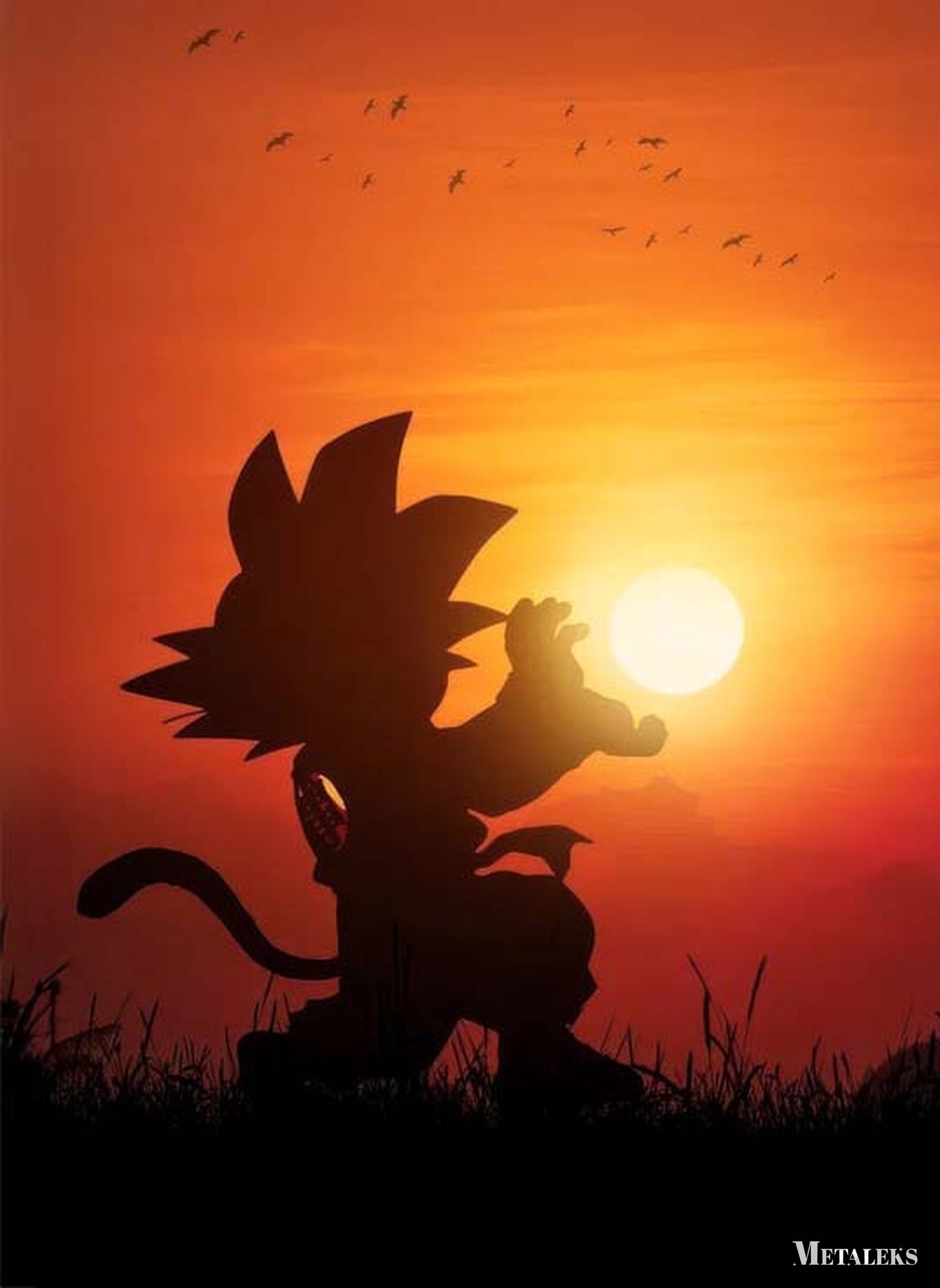 Goku Dragon Ball 03  D082025