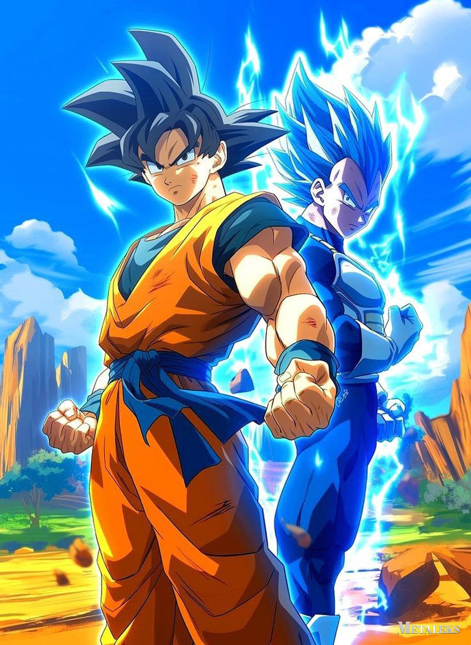 Goku Dragon Ball Vegeta Dragon Ball  D090625