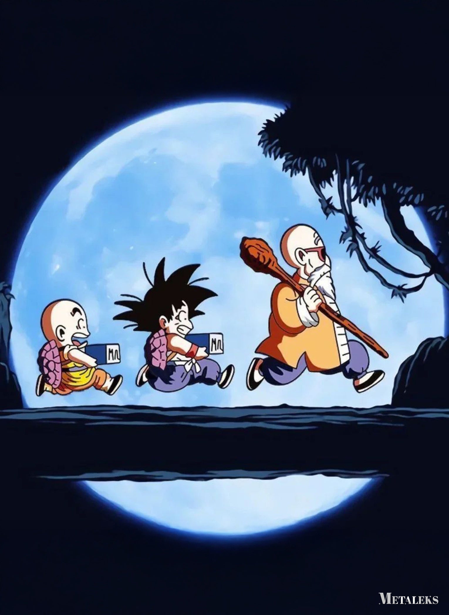 Krillin Goku Master Roshi Dragon Ball  A0724