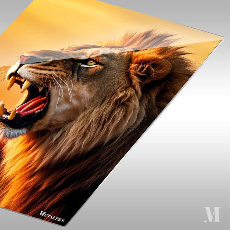 Lion  D082325
