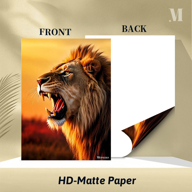 Lion  D082325