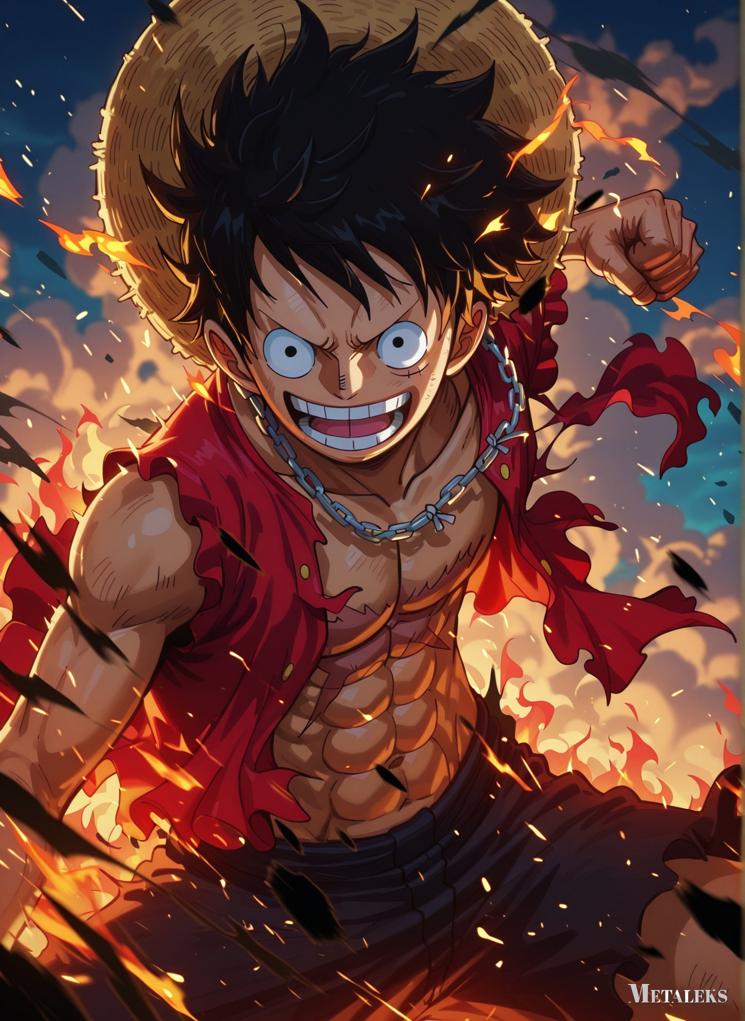 Luffy One Piece 01  C080725