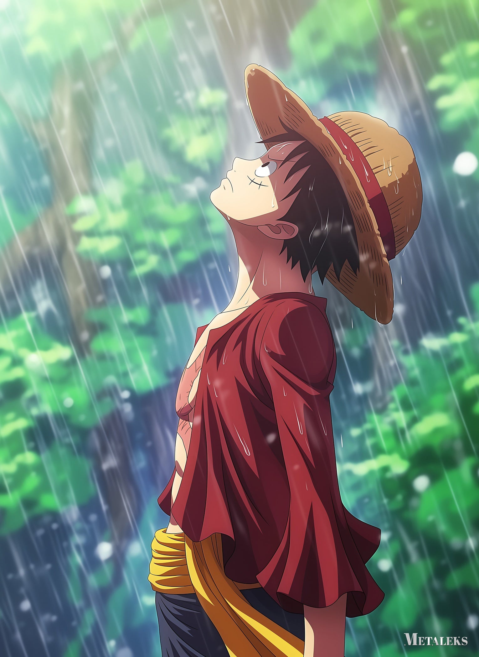 Luffy in the rain H0729-25