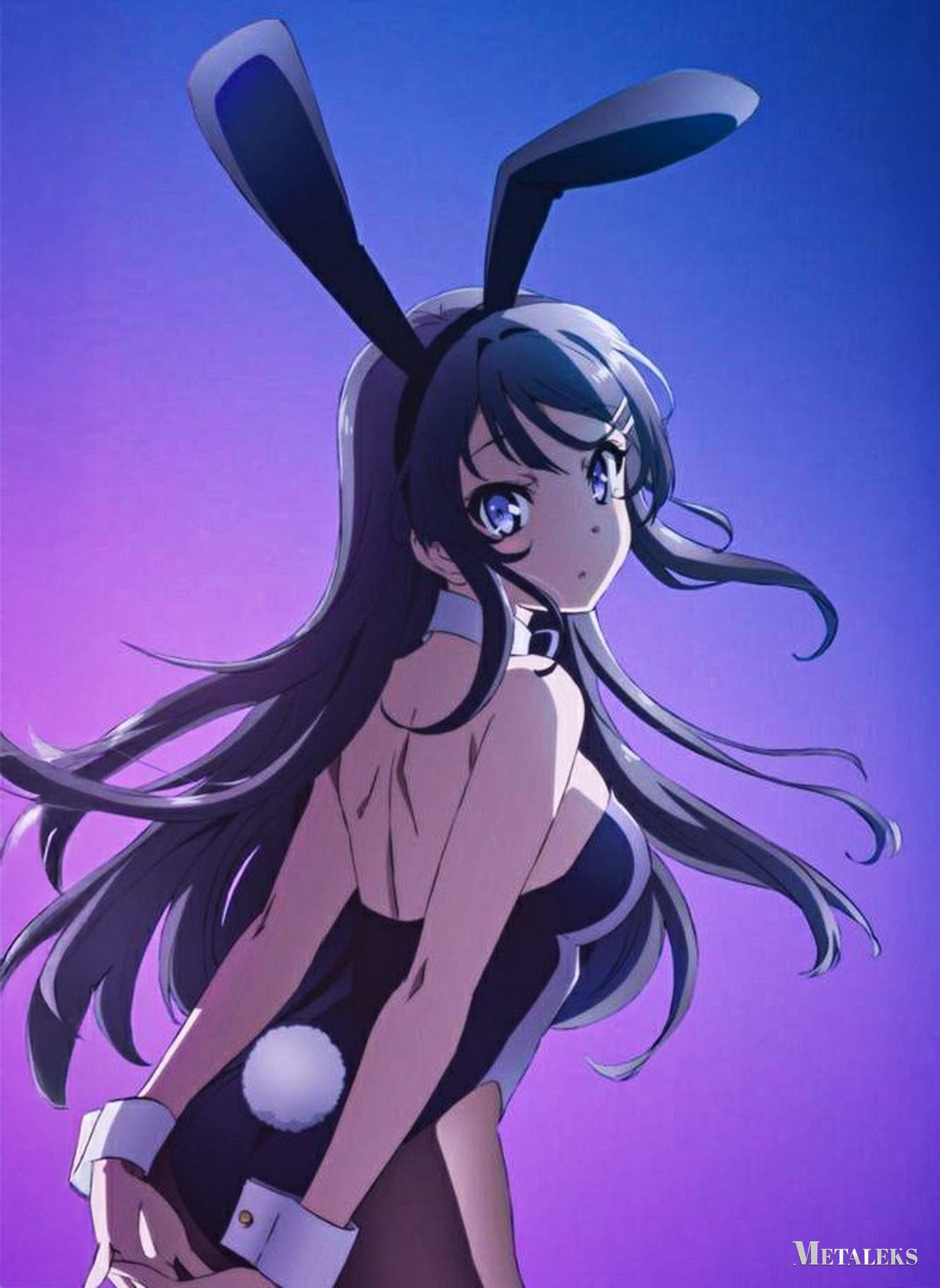 Mai Sakurajima Rascal Does Not Dream of Bunny Girl Senpai  D081225