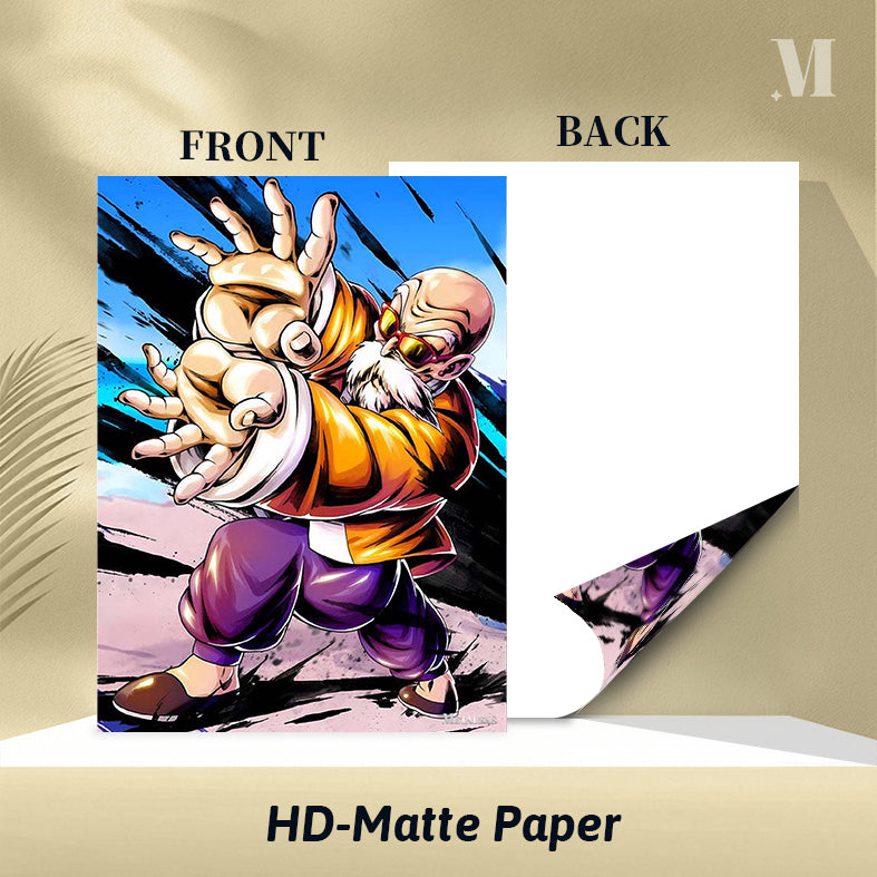 Master Roshi Dragon Ball  D082025