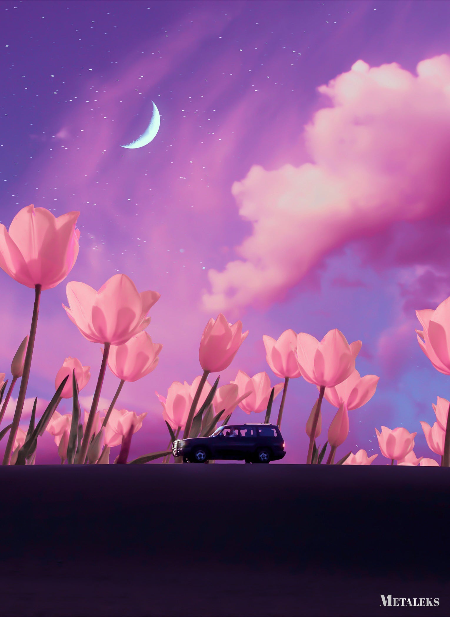 Mystical journey