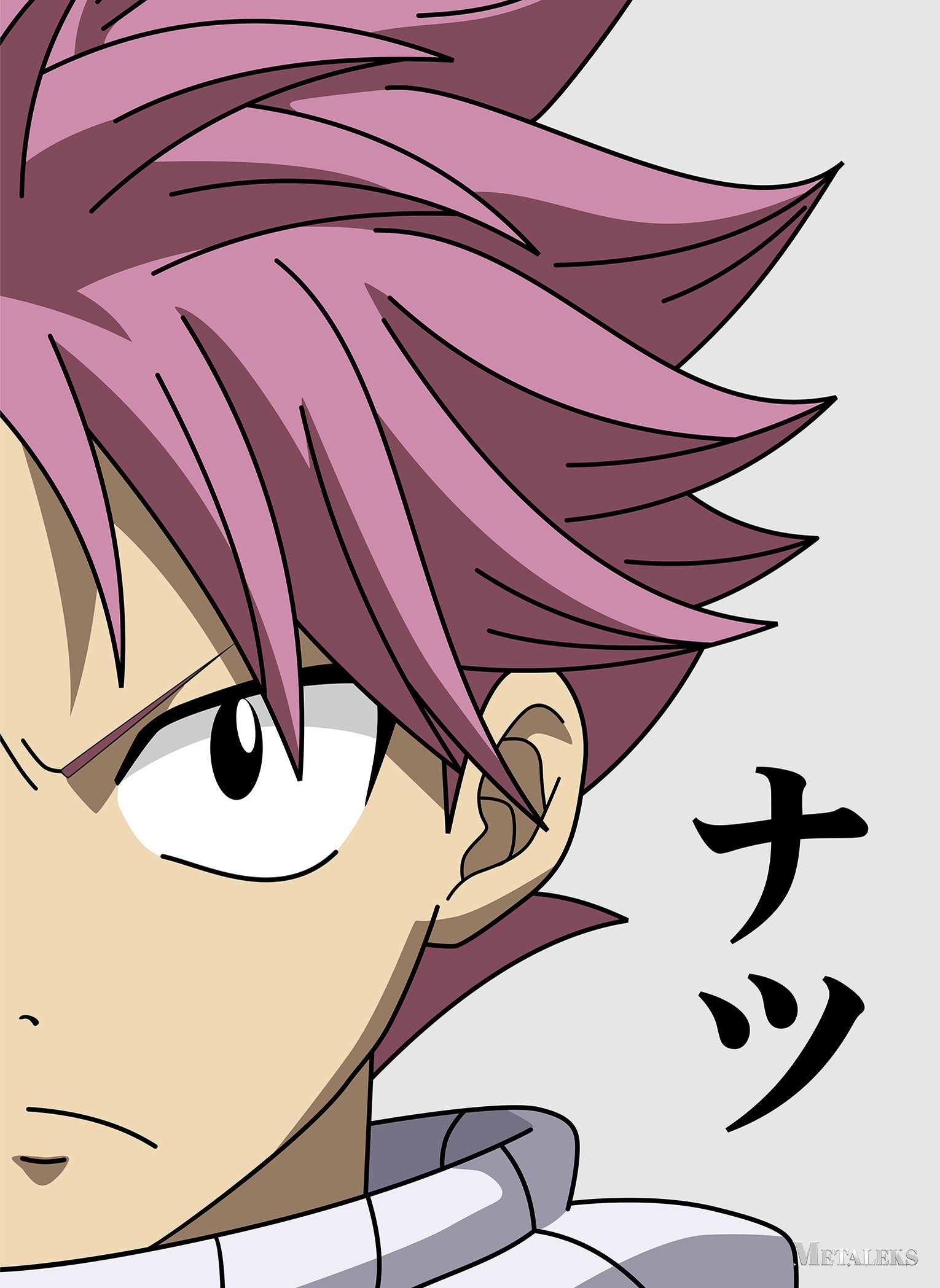 Natsu Dragneel Fairy Tail