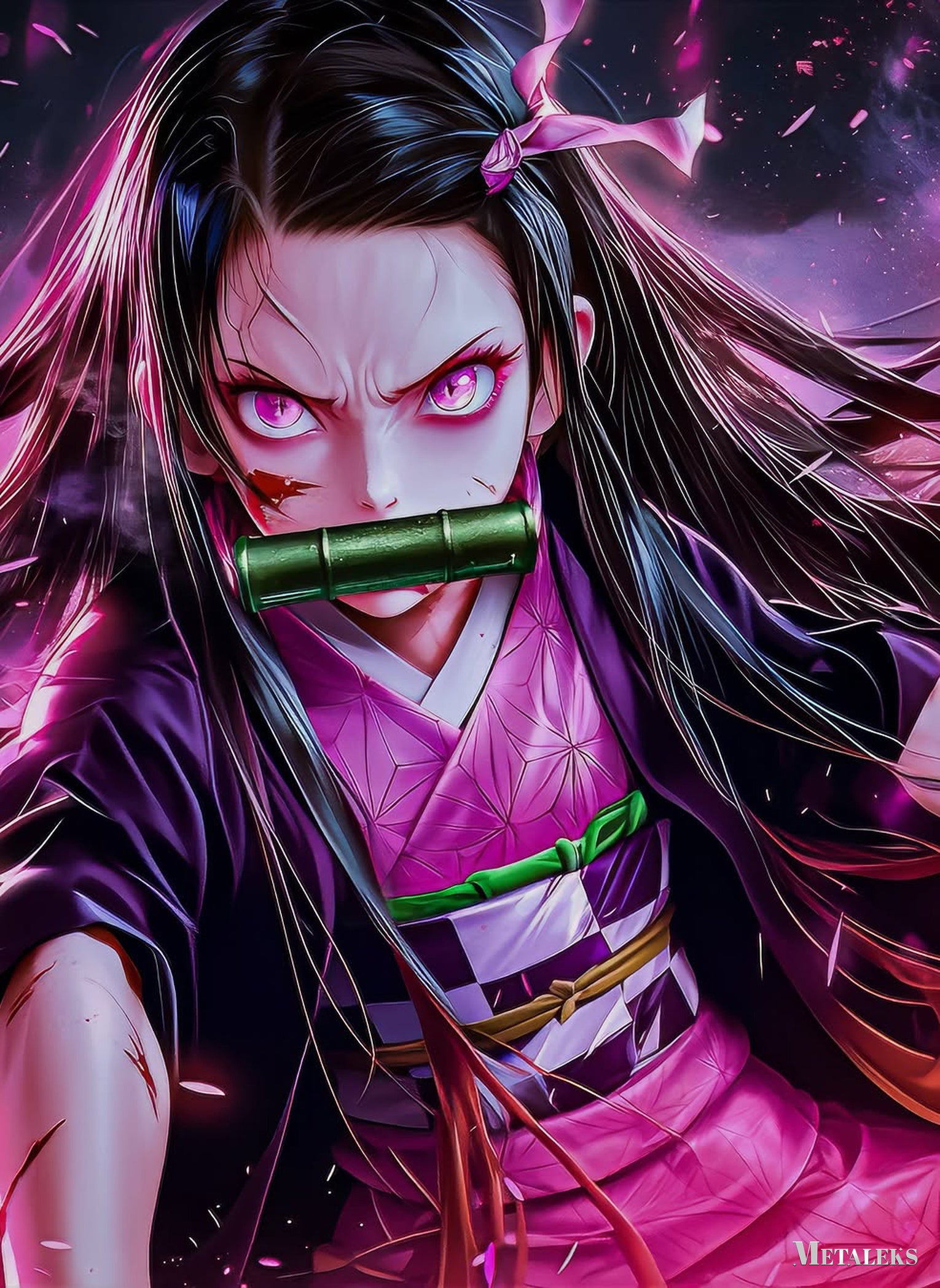 Nezuko (1)