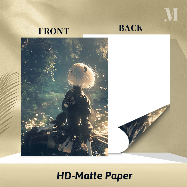 Nier 2b-9