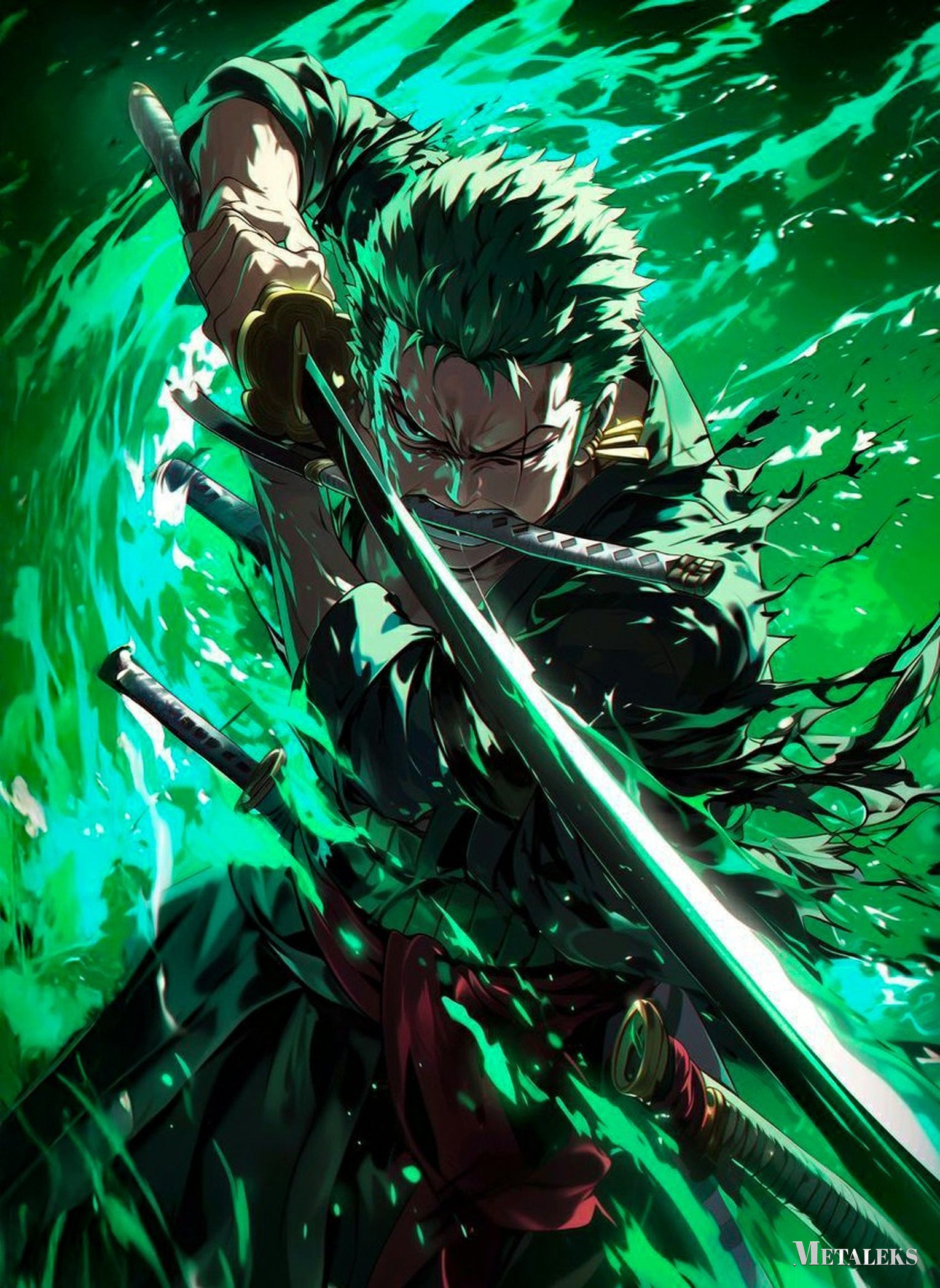 Roronoa Zoro One Piece  D081225