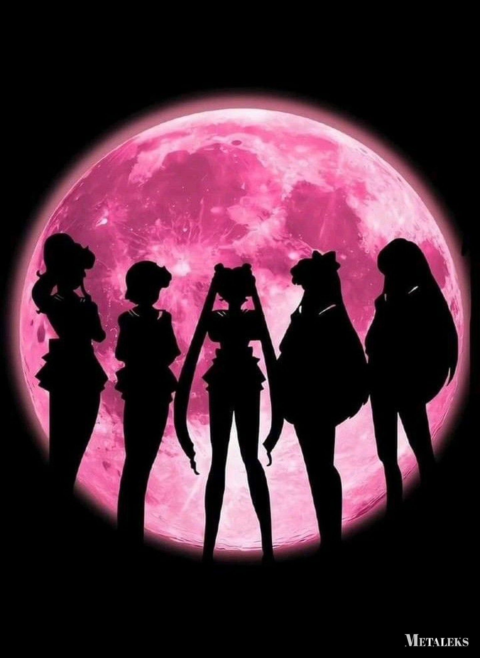 Sailor Venus Sailor Mercury Sailor Moon Sailor Jupiter Sailor Mars Sailor Moon  A0722