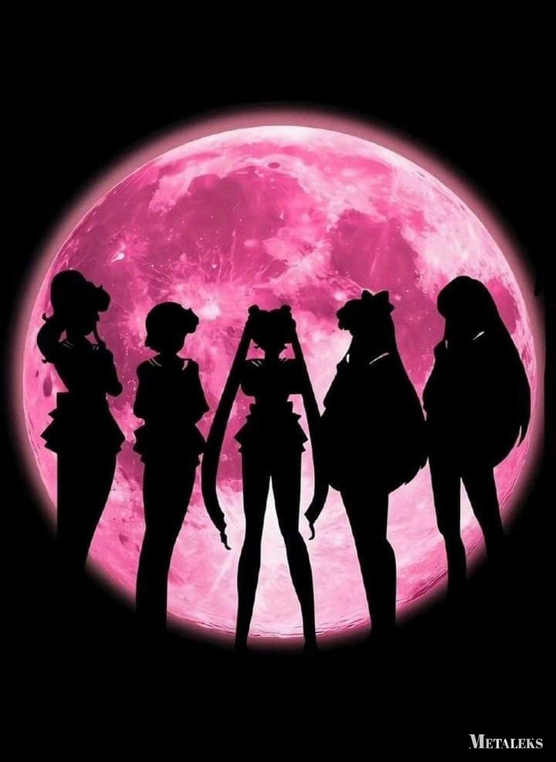 Sailor Venus Sailor Mercury Sailor Moon Sailor Jupiter Sailor Mars Sailor Moon  A0722