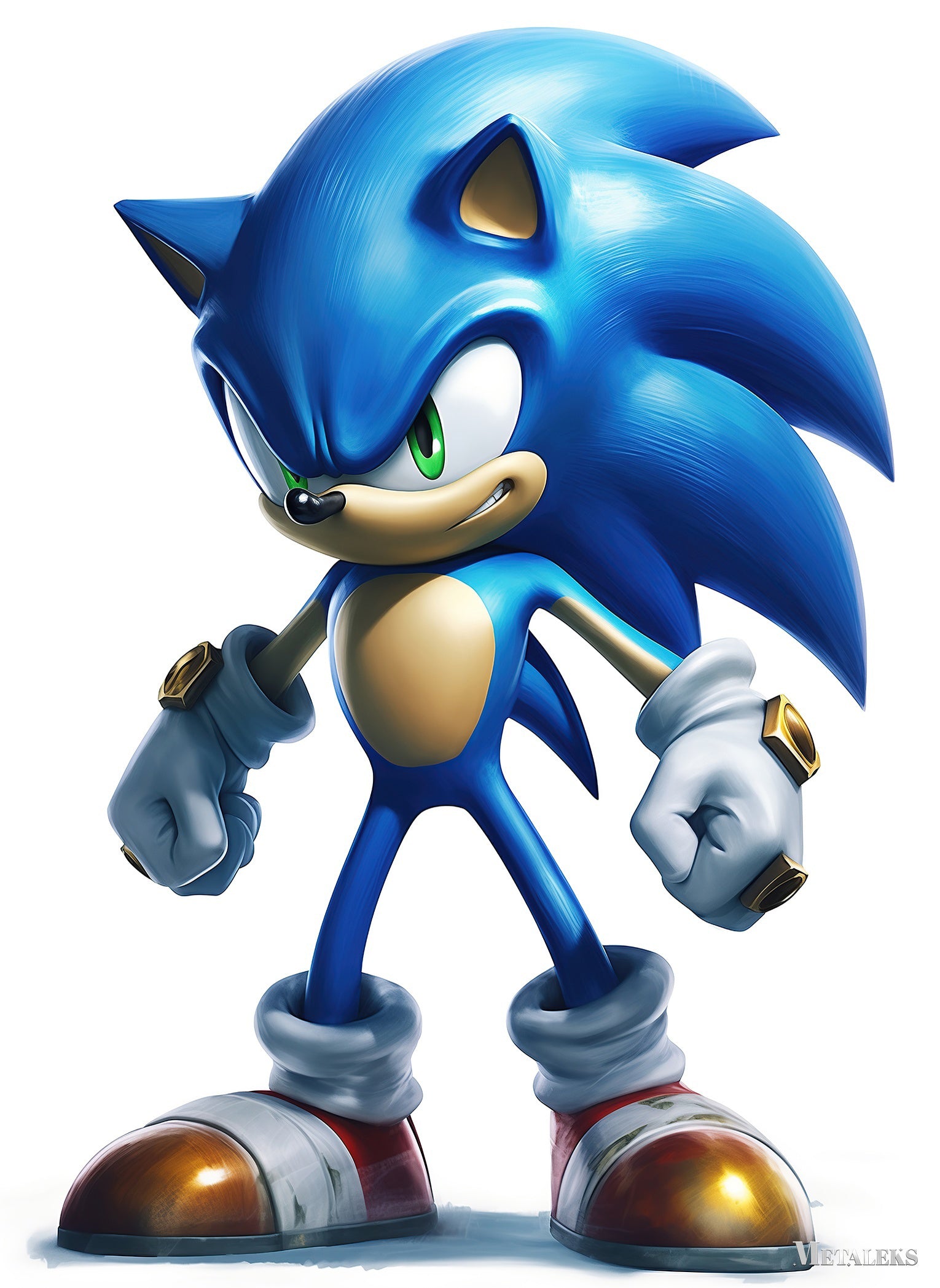 Sonic The Hedgehog 2