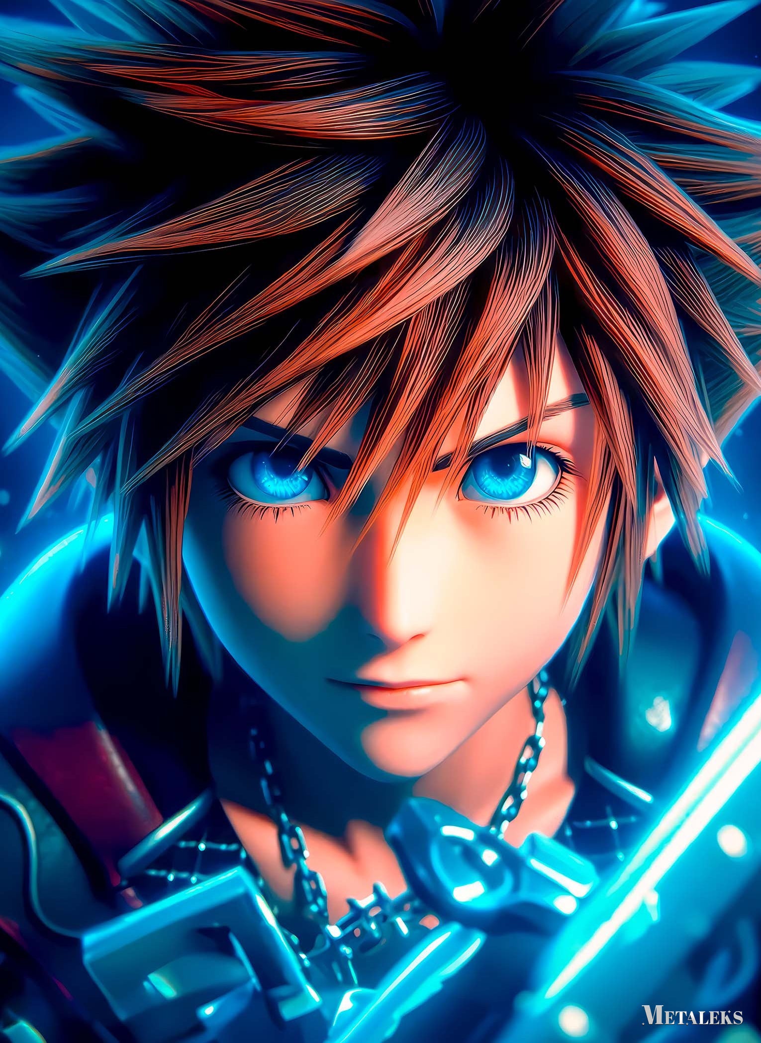 Sora Kingdom Hearth