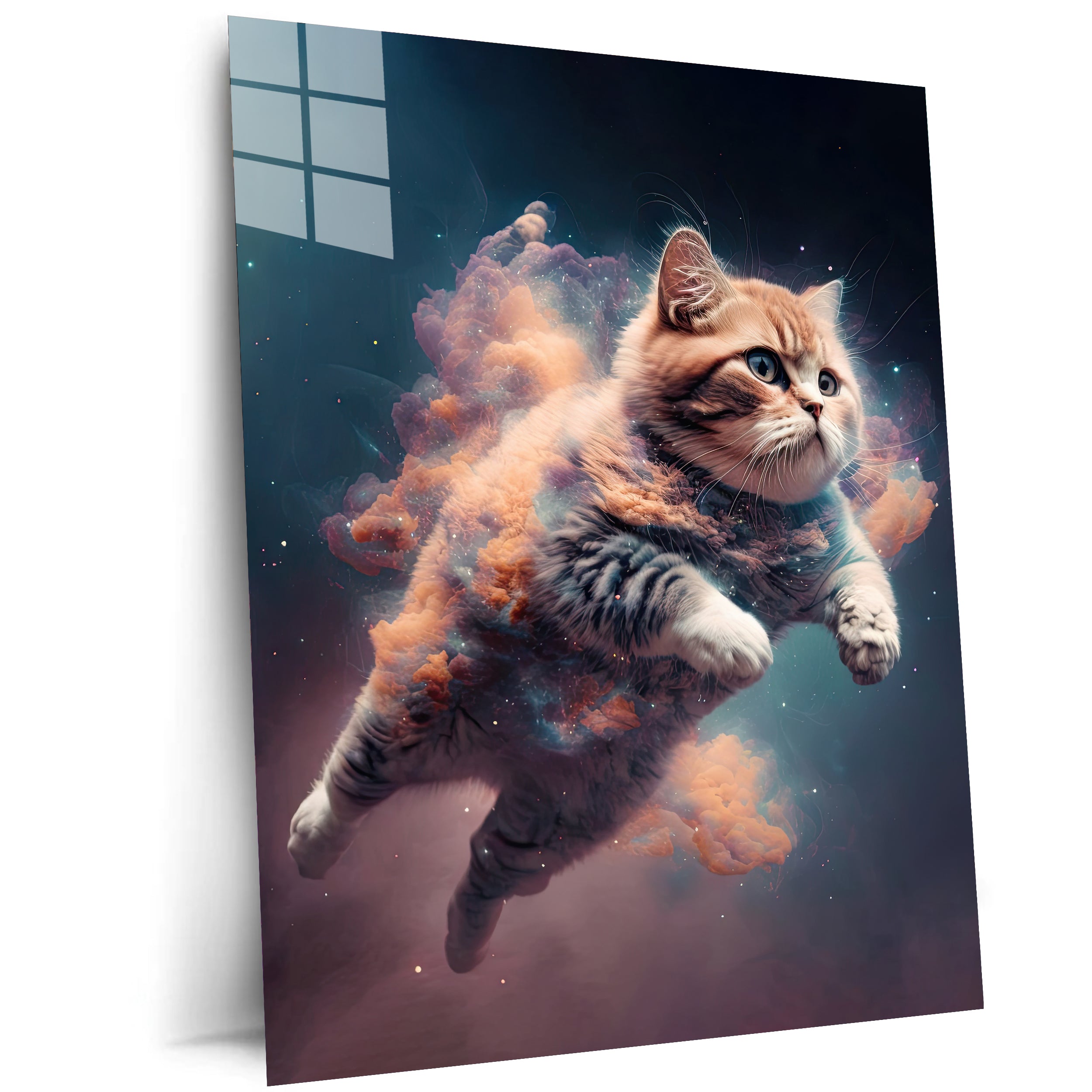 Space Cat