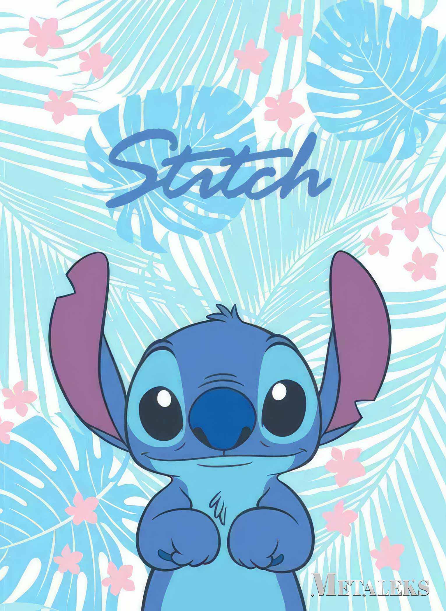 Stitch-5