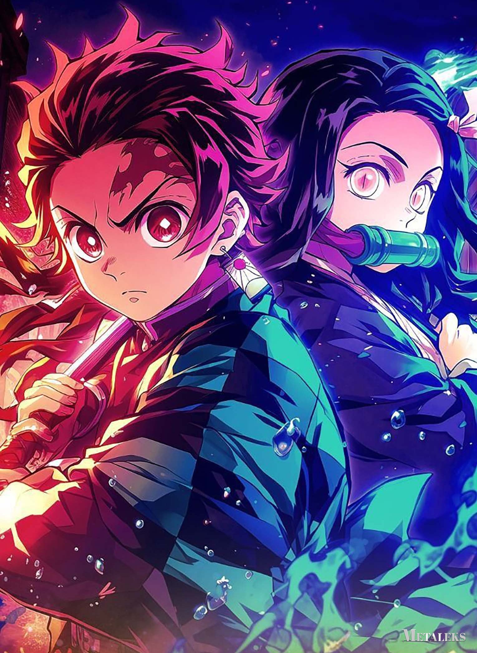Tanjiro Kamado Demon Slayer Nezuko Kamado Demon Slayer 01  A0717