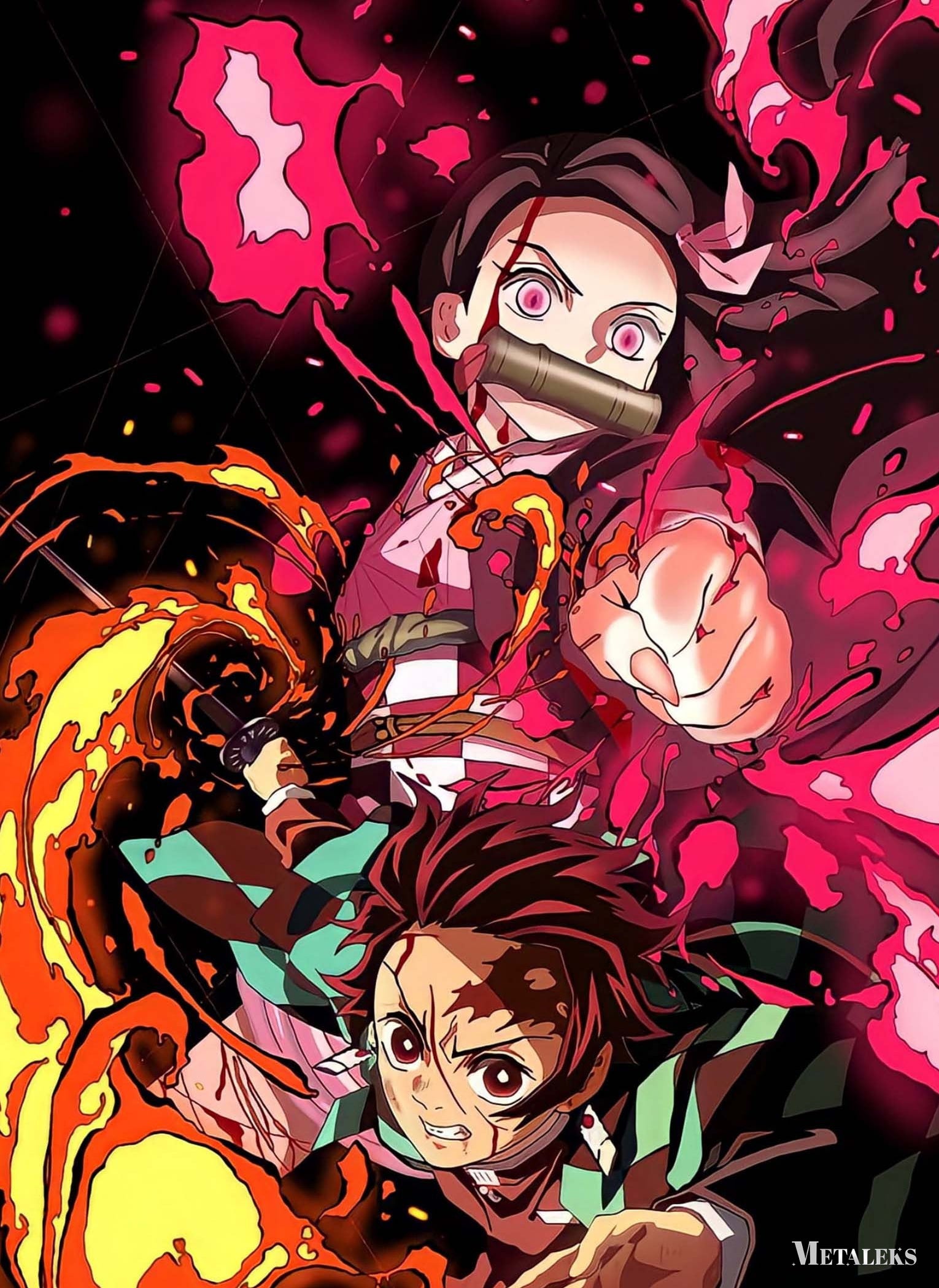 Tanjiro Nezuko anime