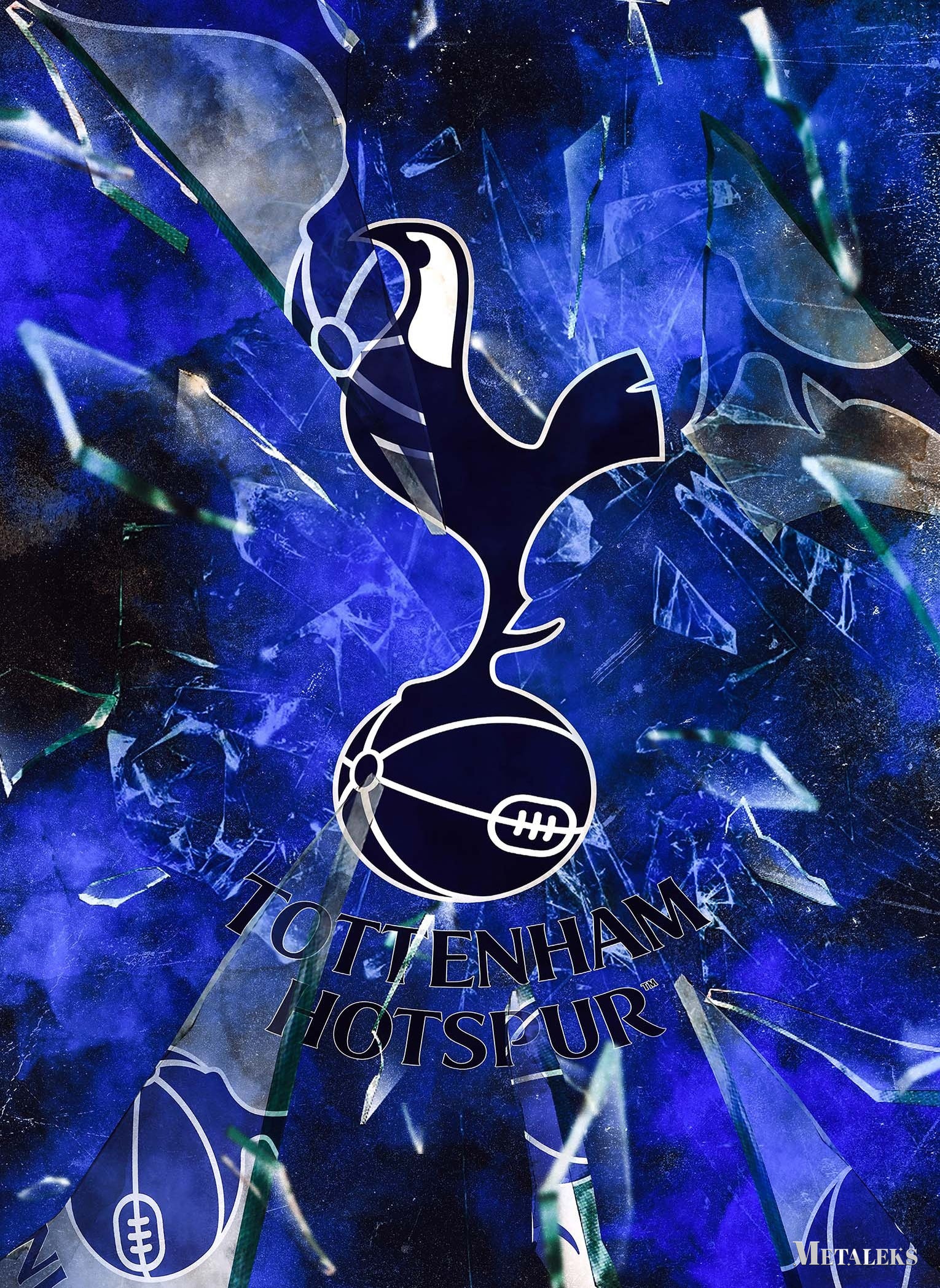 Tottenham Hotspur FC