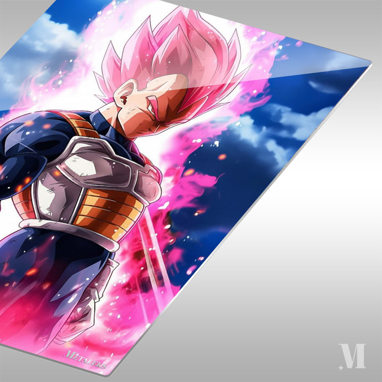 Vegeta Dragon Ball 02  D090625