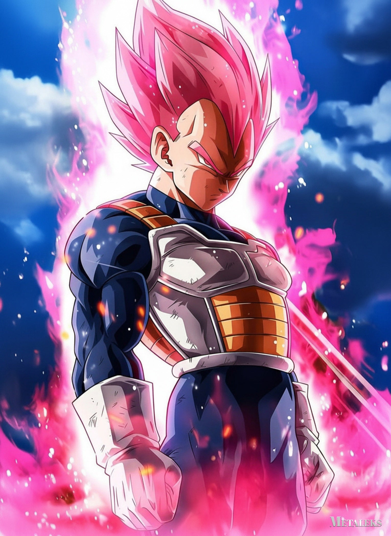 Vegeta Dragon Ball 02  D090625