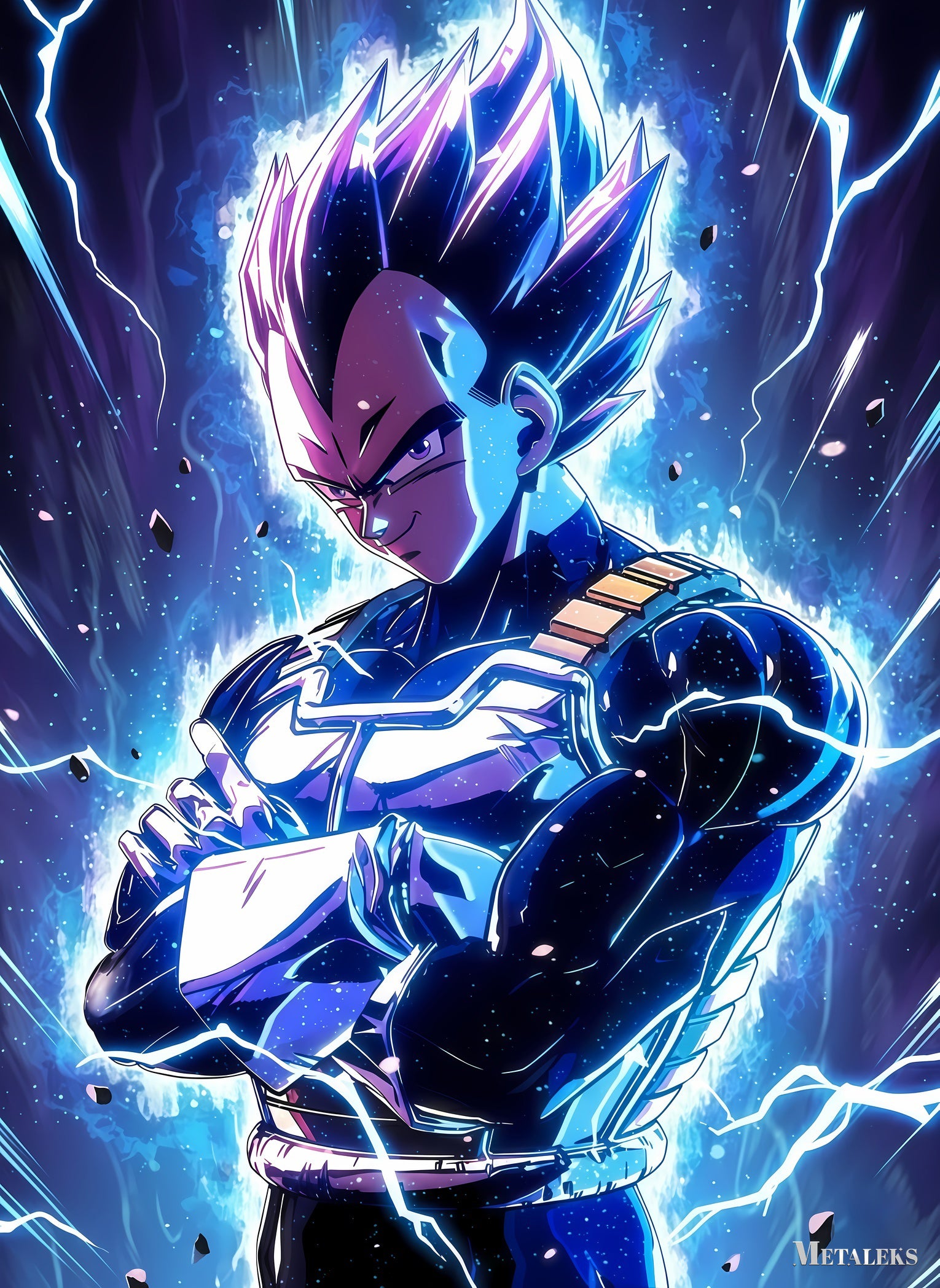 Vegeta Dragon Ball  JC083025