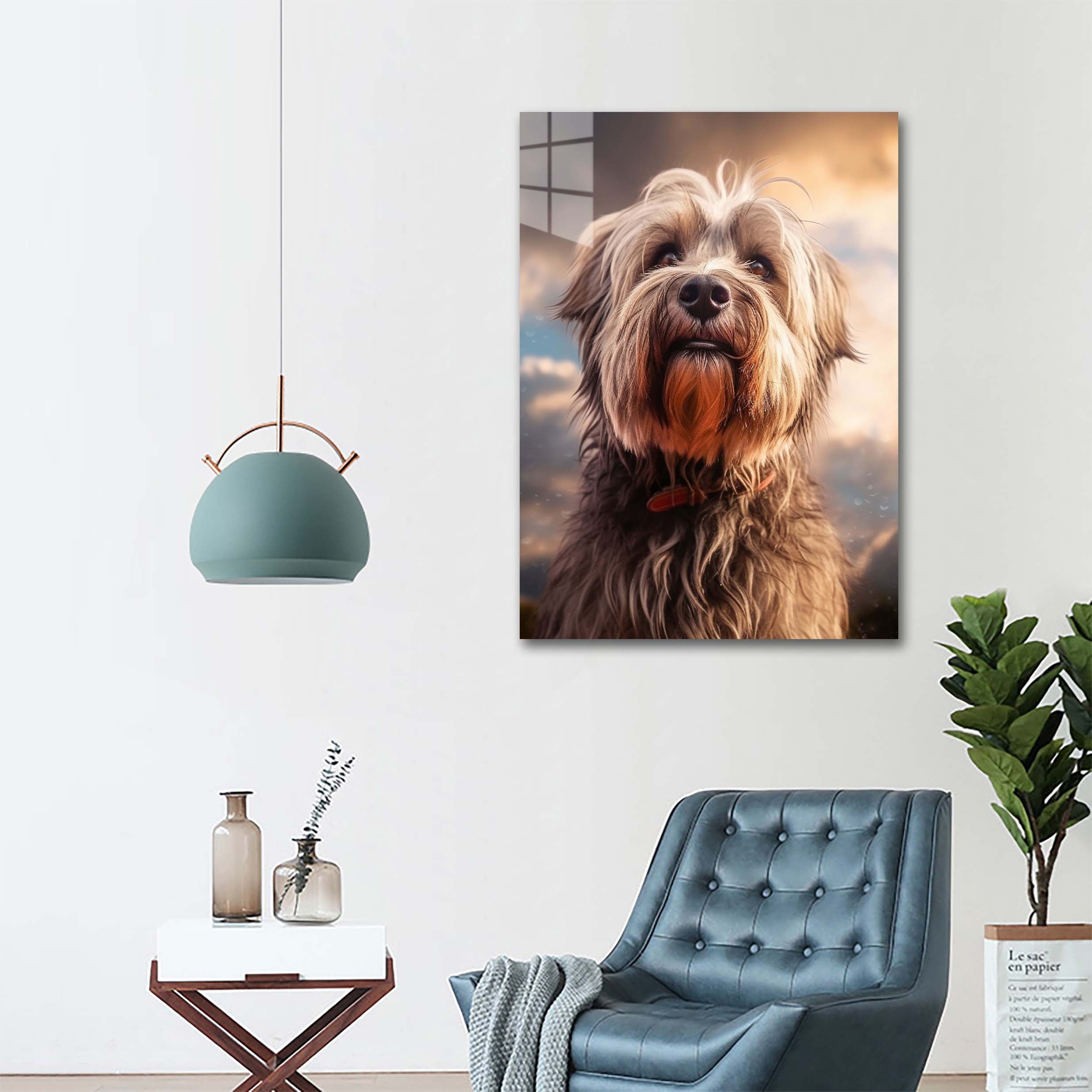 briard dog 3